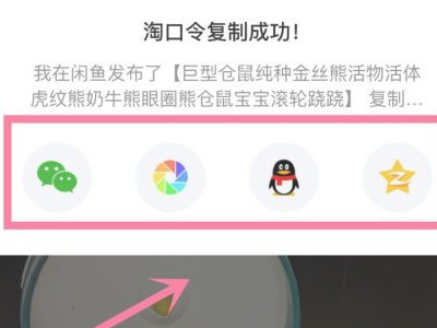 咸鱼发布的搜不到自己发布的信息怎么才能搜到第5步