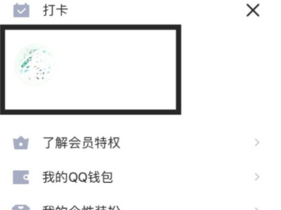 动态头像怎么制作第2步