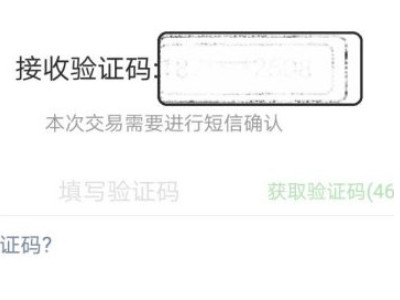 微信支付密码强制找回第6步