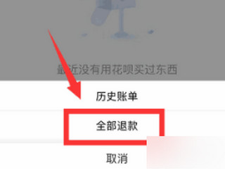 淘宝退回花呗的钱怎么查不到第4步