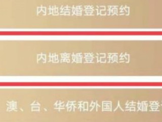 在手机上预约离婚怎么预约第5步