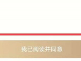 在手机上预约离婚怎么预约第6步