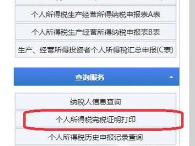 如何在网上打印完税证明第3步