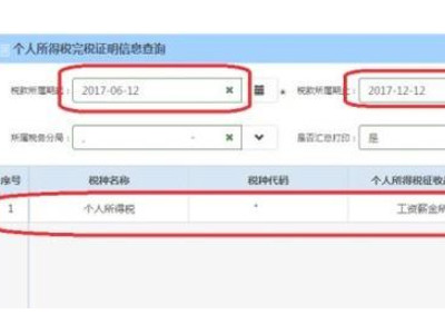 如何在网上打印完税证明第4步