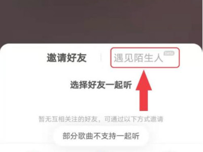 网易云怎么随机匹配陌生人一起听歌第4步