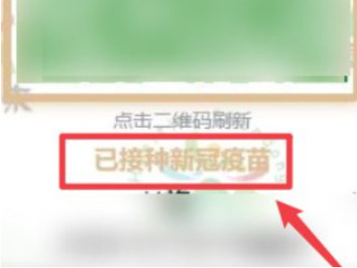 支付宝查不到疫苗接种记录第5步