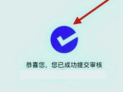 京东下单订单状态异常咋办第4步