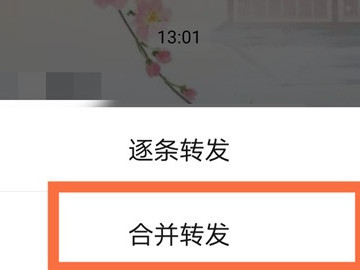 微信怎么转发聊天记录给别人看第4步
