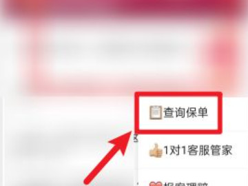 汽车交强险网上怎么查询第2步