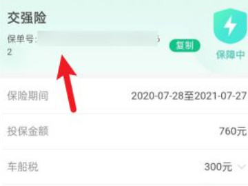 汽车交强险网上怎么查询第5步