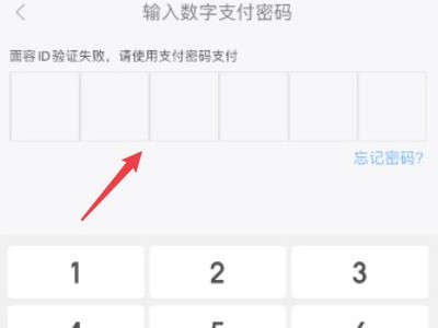 京东白条怎么到店支付第4步