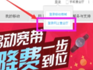 查积分在哪里查第2步