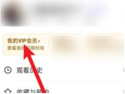 爱奇艺自动续费怎么退款第2步