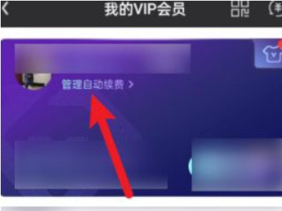 爱奇艺自动续费怎么退款第3步