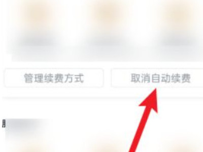 爱奇艺自动续费怎么退款第4步