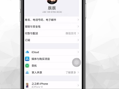 苹果手机抖音充值怎么用微信第2步