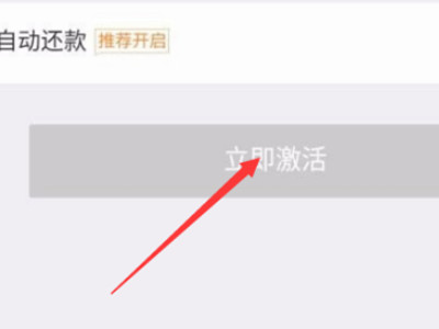 京东白条在哪里开通第4步
