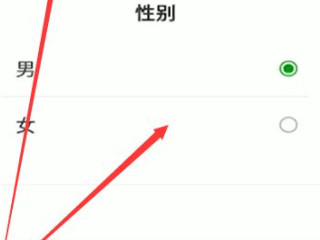 微信怎么设置性别第4步