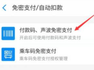 支付宝怎么取消小额免密支付第4步