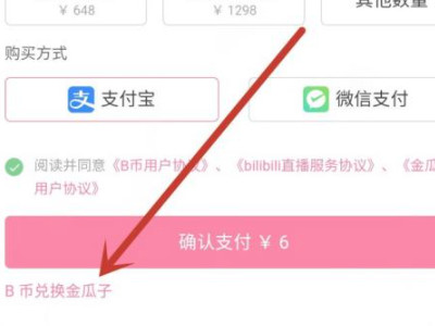 大会员每个月5b币怎么用第4步