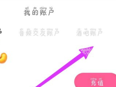 花椒直播怎么提现第4步