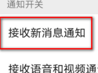 微信语音来电不弹窗了第4步