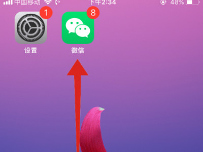 苹果微信下载的文件保存在哪里第1步