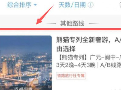 熊猫专列怎么买票第2步