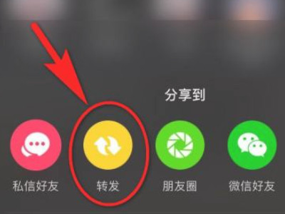 抖音里的转发转到哪里去了第5步