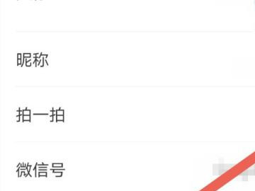 拍一拍怎么改自定义第3步