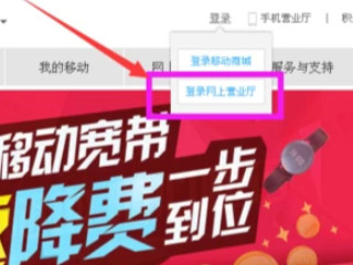 积分怎么查第2步