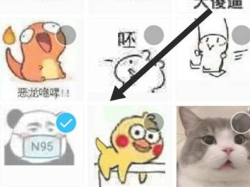 怎么删除qq已存表情第6步