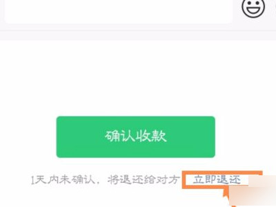 红包拒收马上给对方返回怎么操作第3步