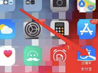 2021支付宝怎么刷芝麻粒第1步