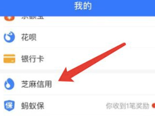 2021支付宝怎么刷芝麻粒第3步