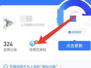 2021支付宝怎么刷芝麻粒第4步