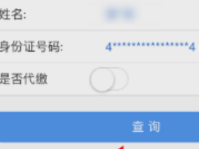 新农合怎么查询自己交费了没第4步