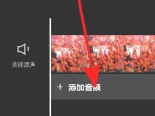 剪映本地音乐找不到第2步