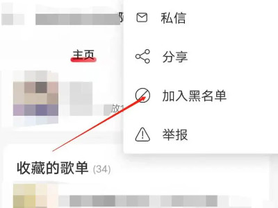 网易云拉黑了对方还能看到我的主页吗第4步