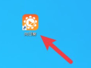 向日葵软件怎样远程控制电脑第1步