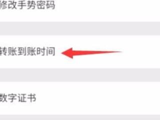 微信怎么设置延时到账第5步