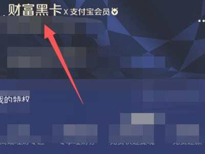 支付宝财富黑卡怎么得第4步