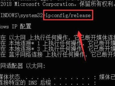 浏览器上不了网其他都正常第4步