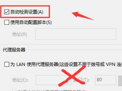 浏览器上不了网其他都正常第7步