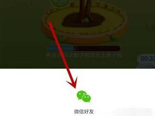 拼多多果园无法加好友第4步