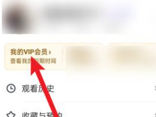 2021爱奇艺怎么取消自动续费第2步