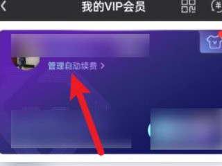2021爱奇艺怎么取消自动续费第3步