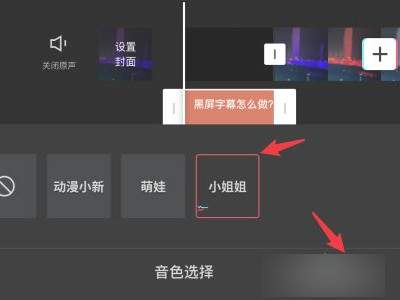 抖音开头朗读黑屏字幕第6步