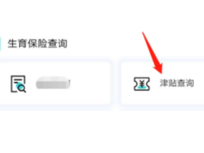 支付宝怎么查生育津贴第4步