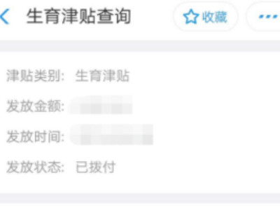 支付宝怎么查生育津贴第5步